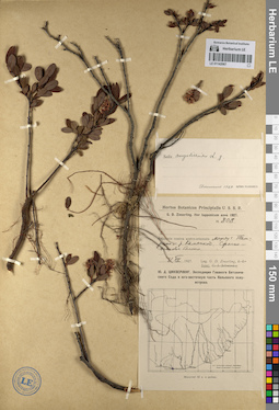 LE 01142067