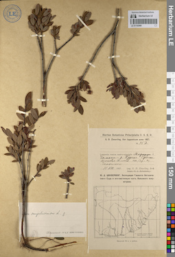 LE 01142068