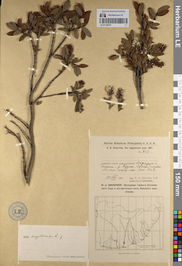 LE 01142070