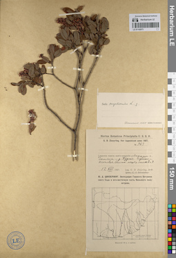 LE 01142073