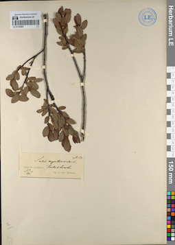 LE 01142083