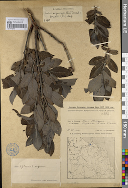 LE 01142164