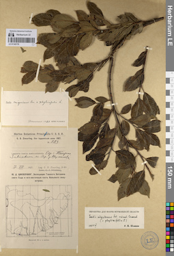 LE 01142176