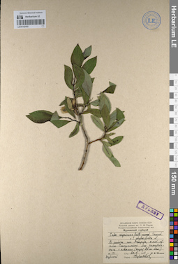 LE 01142193