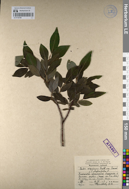 LE 01142196