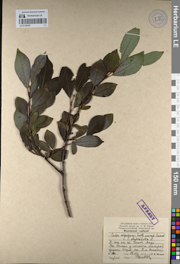 LE 01142197