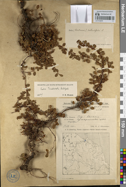LE 01142575