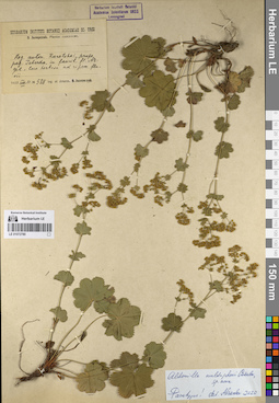 LE 01072780