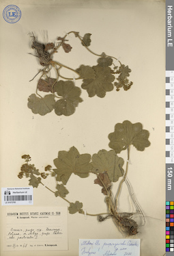LE 01072785