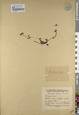 LE 01125902