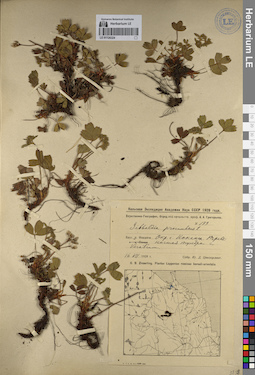 LE 01126324