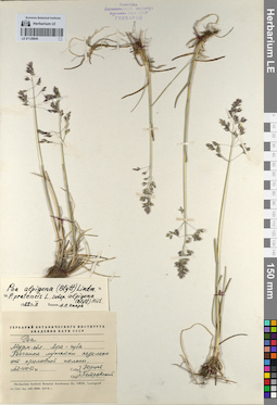 LE 01129845