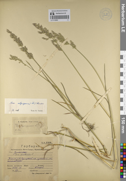 LE 01129895