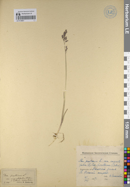 LE 01129921