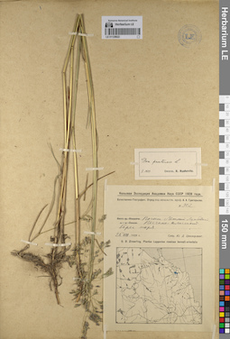 LE 01129922
