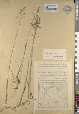 LE 01129931