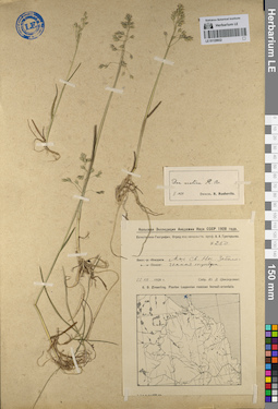 LE 01129932