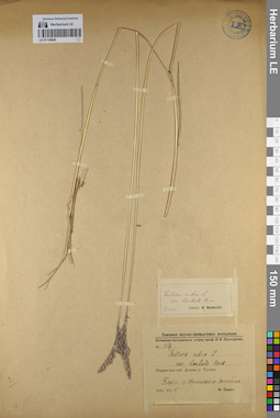 LE 01130845
