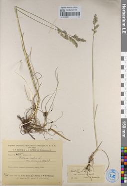 LE 01130900