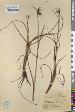 LE 01131220