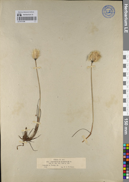 LE 01131348