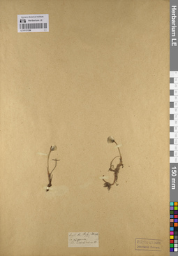 LE 01131396