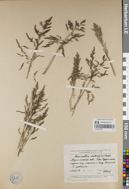 LE 01072797