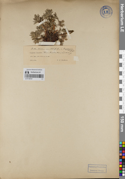 LE 01126147