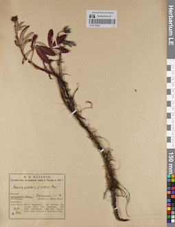 LE 01126225