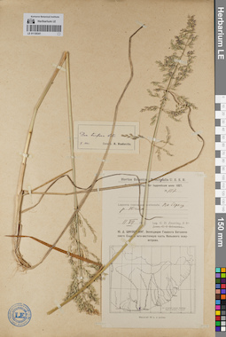 LE 01130341