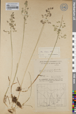 LE 01130354