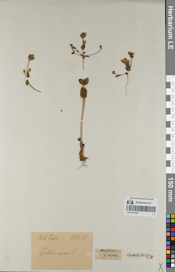 LE 01072795