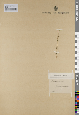 LE 01099010