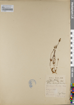 LE 01099012