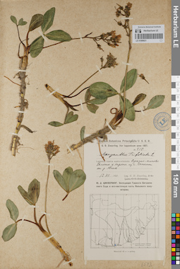 LE 01099021
