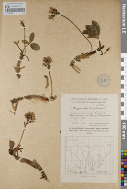 LE 01099022