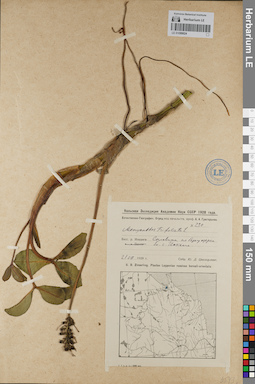 LE 01099024