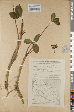 LE 01099025