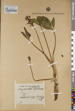LE 01099031