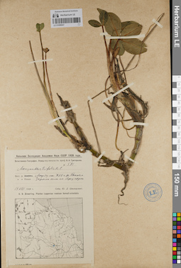 LE 01099047