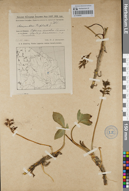 LE 01099049