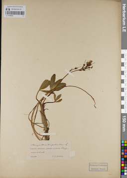 LE 01099054