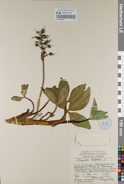 LE 01099085