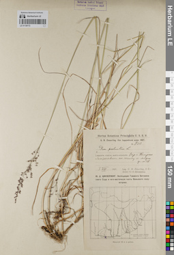 LE 01130172