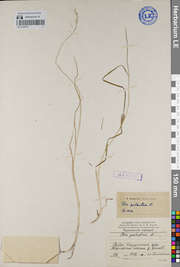 LE 01130176