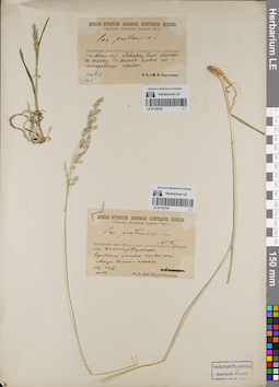 LE 01130193