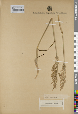 LE 01130197