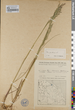 LE 01130238