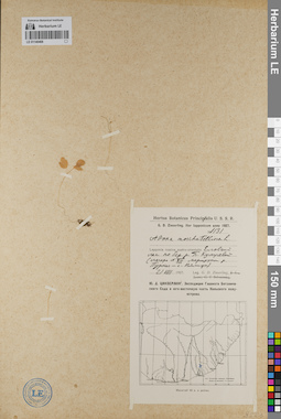 LE 01140468