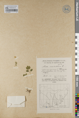 LE 01140473